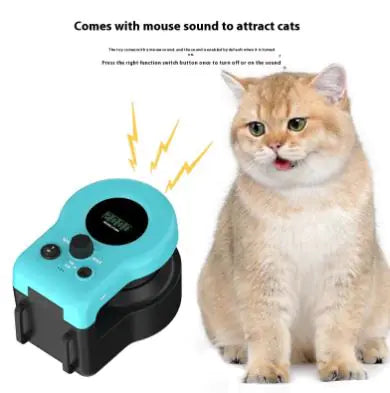 Active Cat Chase Toy
