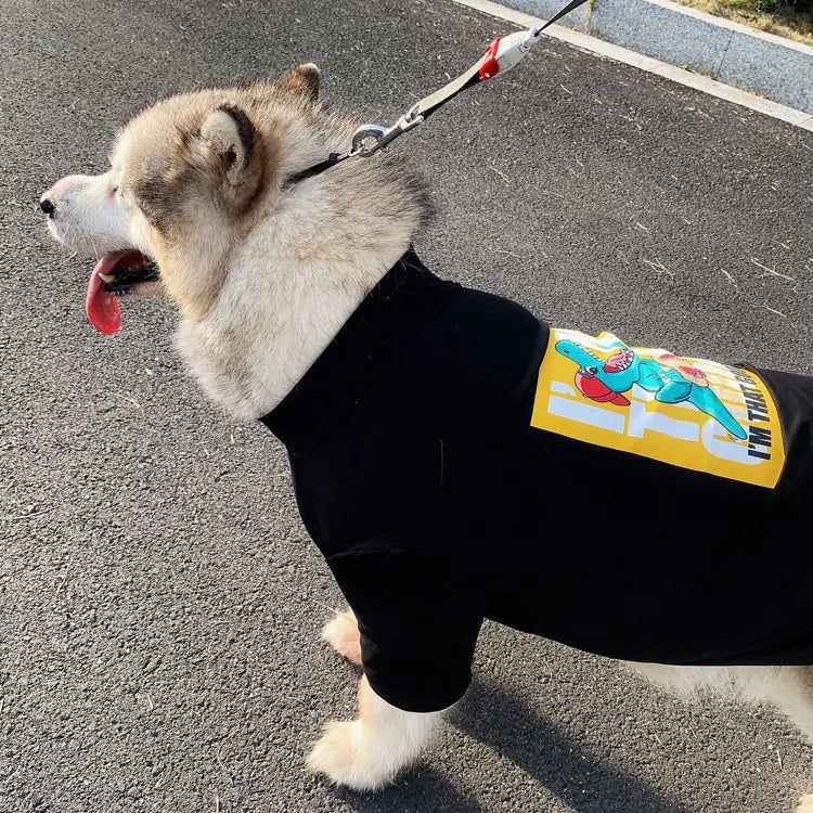 Trendy Fur-Free Pet Matchwear